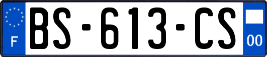 BS-613-CS