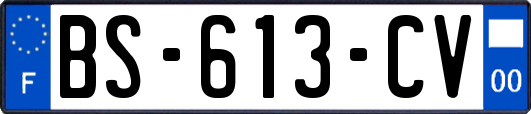 BS-613-CV