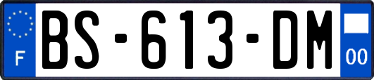 BS-613-DM