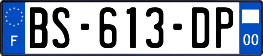 BS-613-DP