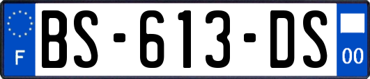 BS-613-DS