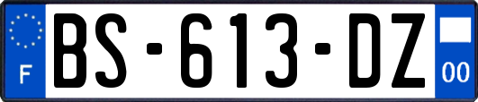 BS-613-DZ