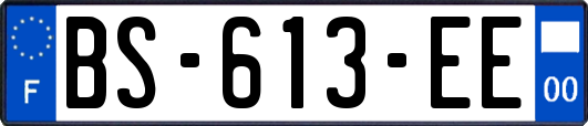 BS-613-EE