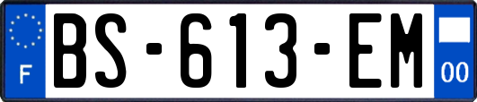 BS-613-EM