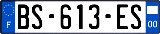 BS-613-ES