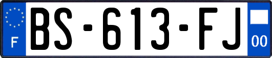 BS-613-FJ