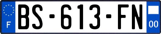BS-613-FN