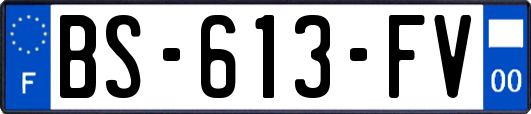 BS-613-FV