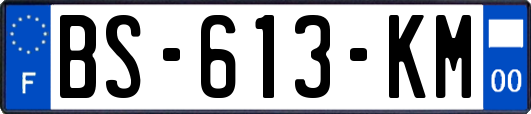 BS-613-KM