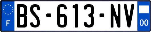 BS-613-NV