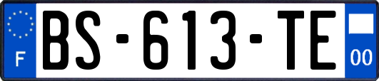BS-613-TE