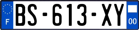 BS-613-XY