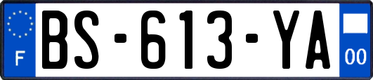 BS-613-YA