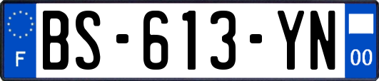 BS-613-YN