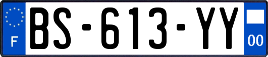 BS-613-YY
