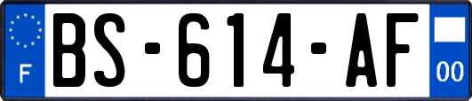 BS-614-AF