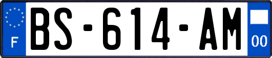 BS-614-AM