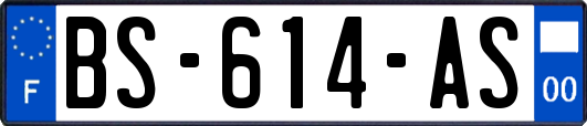 BS-614-AS