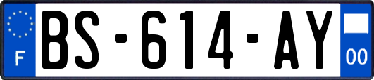 BS-614-AY