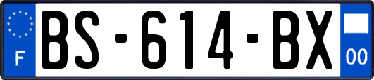 BS-614-BX