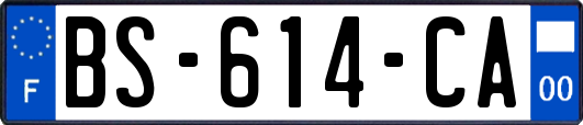 BS-614-CA