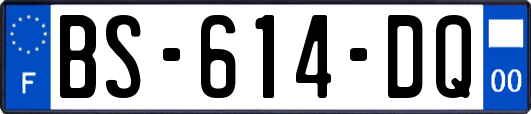 BS-614-DQ