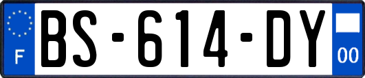 BS-614-DY