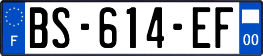 BS-614-EF