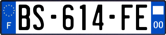 BS-614-FE