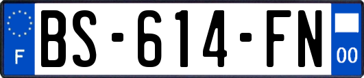 BS-614-FN