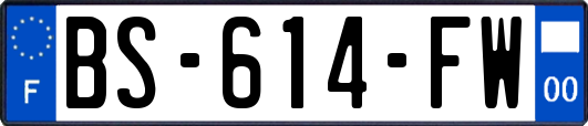 BS-614-FW