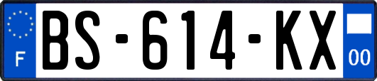 BS-614-KX