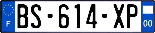 BS-614-XP