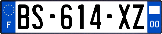 BS-614-XZ