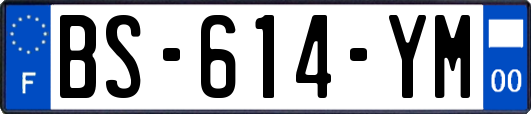 BS-614-YM