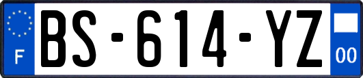 BS-614-YZ