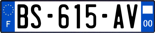 BS-615-AV