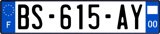 BS-615-AY