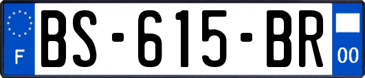 BS-615-BR