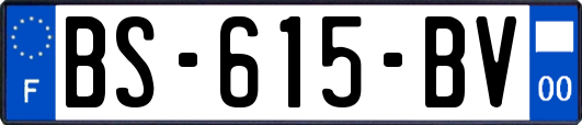 BS-615-BV