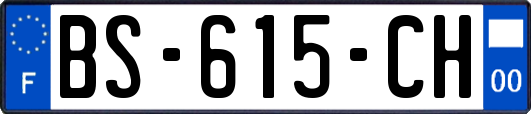 BS-615-CH