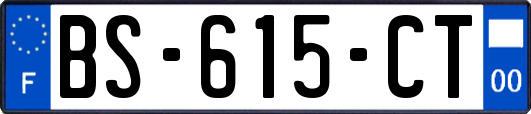 BS-615-CT