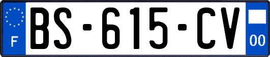 BS-615-CV