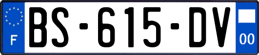 BS-615-DV