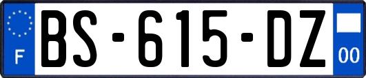 BS-615-DZ