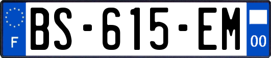 BS-615-EM