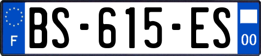 BS-615-ES