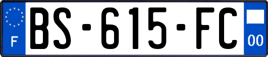 BS-615-FC