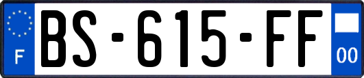 BS-615-FF