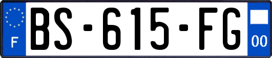 BS-615-FG